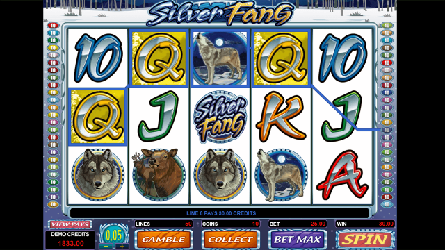 Бонусная игра Silver Fang 10