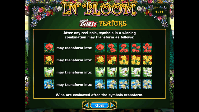 Бонусная игра In Bloom 4