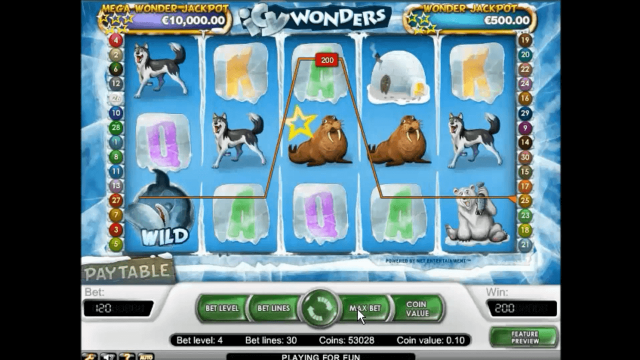 Игровой интерфейс Icy Wonders 6